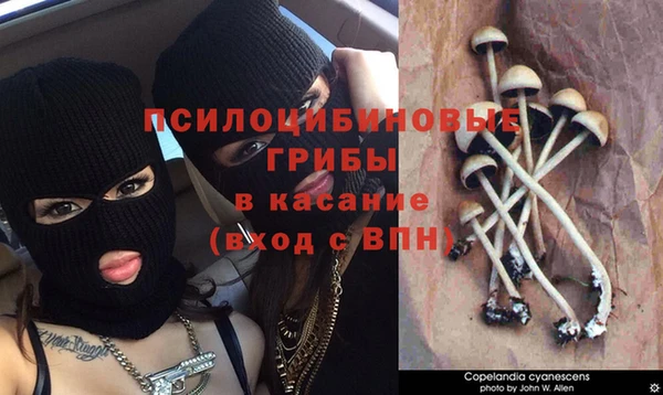 мет Новодвинск