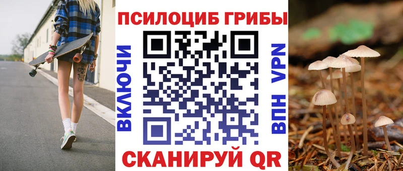 мега рабочий сайт хочу наркоту Иркутск Псилоцибиновые грибы мицелий